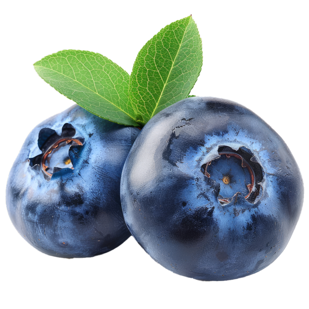 Blueberries: Nature’s Little Blue Marvels